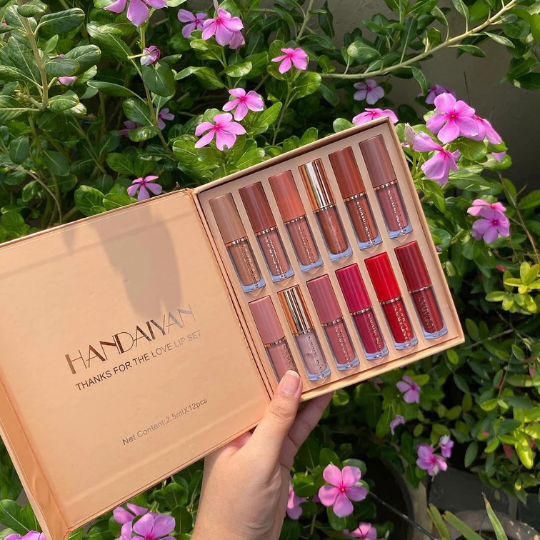 12 Colors Handaiyan Matte Liquid Lipstick Set