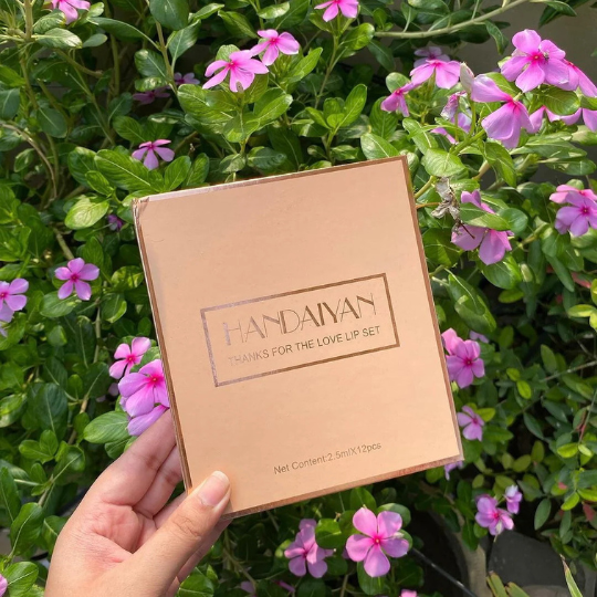 12 Colors Handaiyan Matte Liquid Lipstick Set